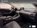 Lexus NX 300 300h Premium 2WD Zilver - thumbnail 6