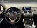 Lexus NX 300 300h Premium 2WD Zilver - thumbnail 11