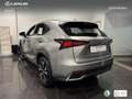 Lexus NX 300 300h Premium 2WD Zilver - thumbnail 14