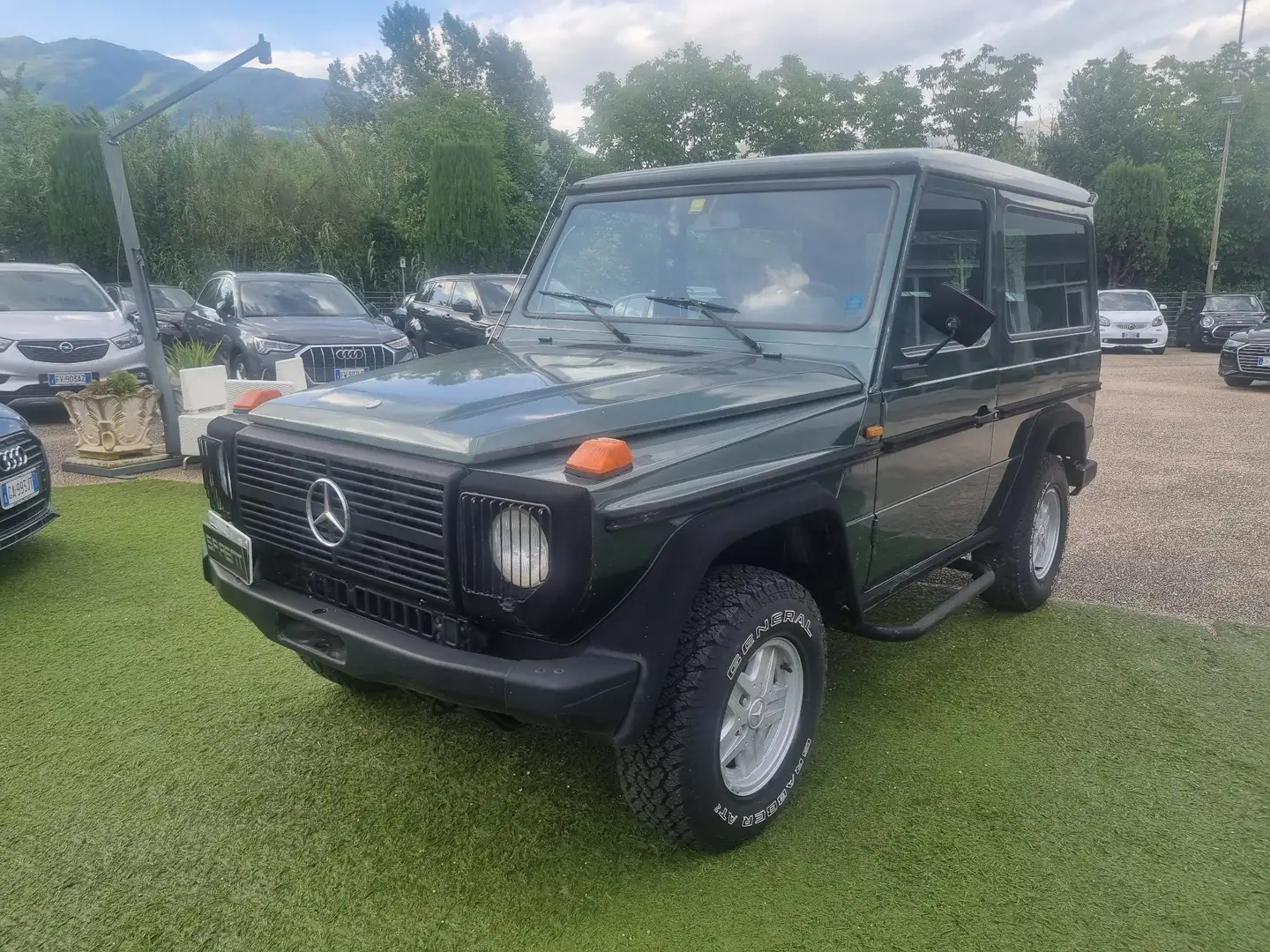 Mercedes-Benz G 300 Verde - 1