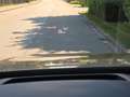 Audi RS Q8 Performance HUD/RS-Abgas/305 km/h Oro - thumbnail 13