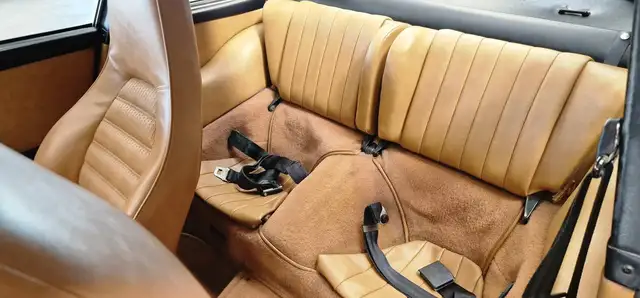 Porsche 911 Coupe *Dieses Auto ist nicht nur Schön es ist ein Ansicht 15