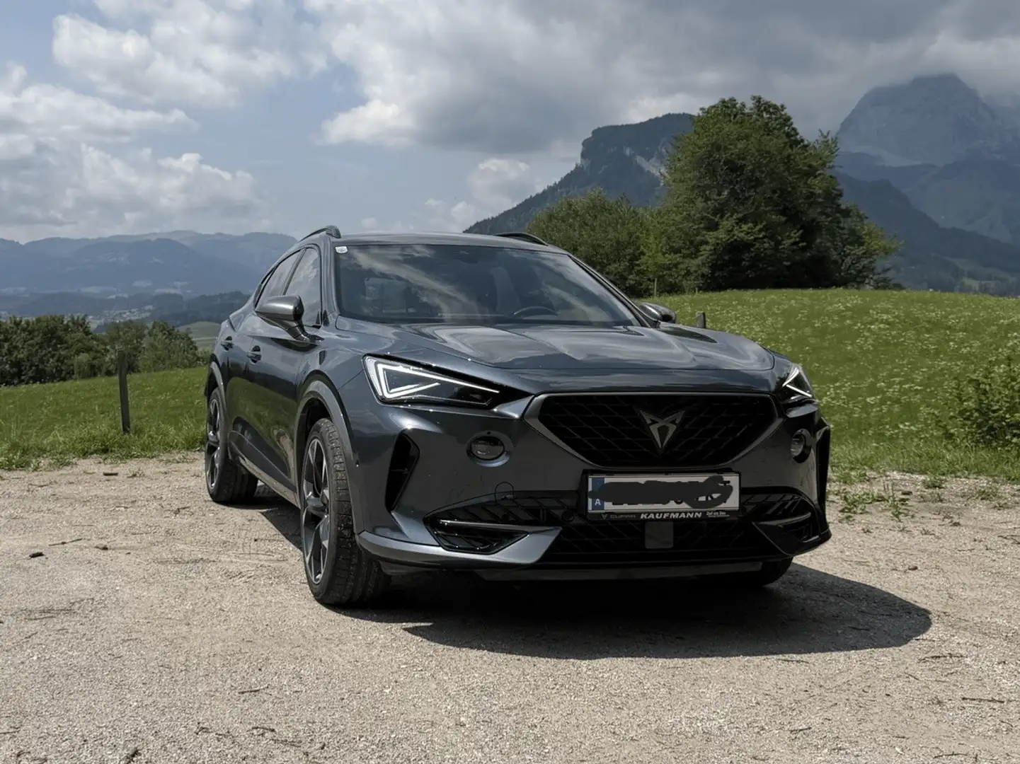CUPRA Formentor Alpha Edition 1.5 TSI 150 ACT Grau - 1
