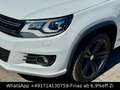 Volkswagen Tiguan Sport&Style 4Motion-R-LINE-NAVI-TEM-XENON Weiß - thumbnail 2
