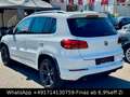 Volkswagen Tiguan Sport&Style 4Motion-R-LINE-NAVI-TEM-XENON Weiß - thumbnail 6
