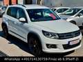 Volkswagen Tiguan Sport&Style 4Motion-R-LINE-NAVI-TEM-XENON Weiß - thumbnail 4
