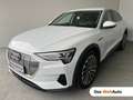 Audi e-tron 55 300 kW Business Blanc - thumbnail 1