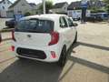 Kia Picanto 1.2 Edition 7 Emotion Paket 1. Hand Weiß - thumbnail 2