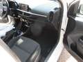 Kia Picanto 1.2 Edition 7 Emotion Paket 1. Hand Weiß - thumbnail 12