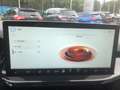Ford Focus 1.0 ST Line X MHEV 125PK M6 Driver assistance Pack Rood - thumbnail 21