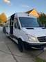 Mercedes-Benz Sprinter 316 NGT Sprinter 906.733 Aut. Weiß - thumbnail 1