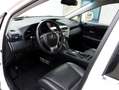 Lexus RX 450h 4WD President Line | Mark Levinson | Stoelventilat Blanc - thumbnail 3