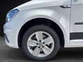 Volkswagen Caddy Comfortline 2.0 TDI SCR BMT 150CV DSG Blanco - thumbnail 17