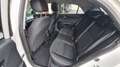 Kia Rio Rio 1,0 TGDI Silber ISG Silber Weiß - thumbnail 11