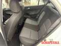 Kia Picanto 1.0 Vision Allwetter Navi Kamera Klimaautom DAB SH Weiß - thumbnail 15