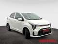 Kia Picanto 1.0 Vision Allwetter Navi Kamera Klimaautom DAB SH Weiß - thumbnail 8