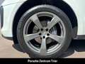 Porsche Macan Panorama Surround-View Abstandstempomat Weiß - thumbnail 8