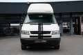 Volkswagen T4 California Westfalia Hochdach-AHK Weiß - thumbnail 2
