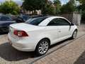 Volkswagen Eos Cabrio 2.0 TDI Klima/PDC/Pano/ Weiß - thumbnail 6