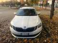 Skoda Octavia Wagon 1.6 tdi Style 4x4 115cv - thumbnail 7