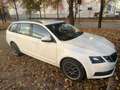 Skoda Octavia Wagon 1.6 tdi Style 4x4 115cv - thumbnail 3