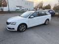 Skoda Octavia Wagon 1.6 tdi Style 4x4 115cv - thumbnail 2