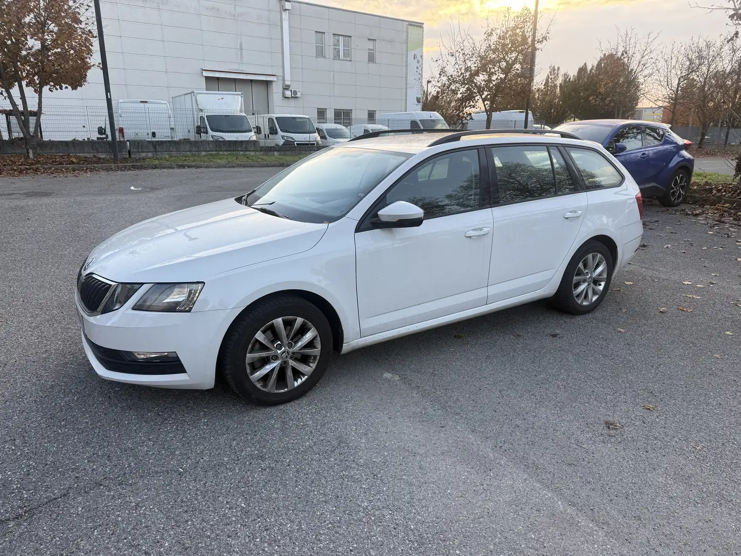 Skoda Octavia Wagon 1.6 tdi Style 4x4 115cv - 2