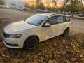Skoda Octavia Wagon 1.6 tdi Style 4x4 115cv - thumbnail 8
