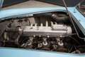 AC Sonstige Aceca “The Missing USA Aceca” Trade in car Barnfin Blau - thumbnail 33