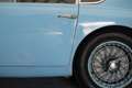 AC Sonstige Aceca “The Missing USA Aceca” Trade in car Barnfin Blau - thumbnail 23