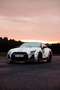 Nissan GT-R GT-R Track Edition Track Edition Grau - thumbnail 13