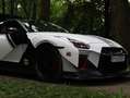 Nissan GT-R GT-R Track Edition Track Edition Grau - thumbnail 6