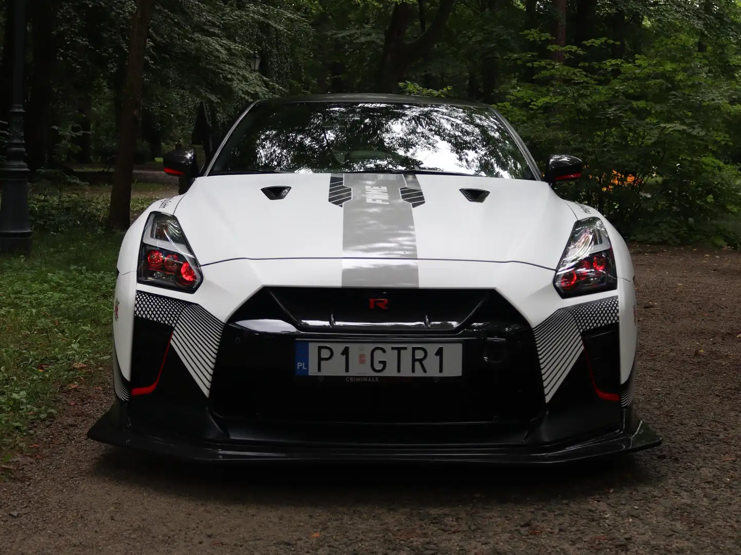 Nissan GT-R GT-R Track Edition Track Edition Grau - 1