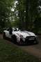 Nissan GT-R GT-R Track Edition Track Edition Grau - thumbnail 2