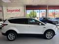 Ford Kuga 1.5TDCi Auto S&S Titanium 4x2 Aut. 120 Blanc - thumbnail 5