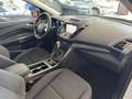 Ford Kuga 1.5TDCi Auto S&S Titanium 4x2 Aut. 120 Blanc - thumbnail 27