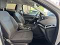 Ford Kuga 1.5TDCi Auto S&S Titanium 4x2 Aut. 120 White - thumbnail 26