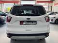 Ford Kuga 1.5TDCi Auto S&S Titanium 4x2 Aut. 120 White - thumbnail 8