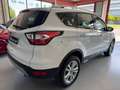 Ford Kuga 1.5TDCi Auto S&S Titanium 4x2 Aut. 120 White - thumbnail 7