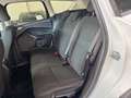 Ford Kuga 1.5TDCi Auto S&S Titanium 4x2 Aut. 120 White - thumbnail 17