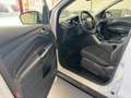 Ford Kuga 1.5TDCi Auto S&S Titanium 4x2 Aut. 120 White - thumbnail 11