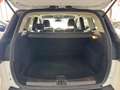 Ford Kuga 1.5TDCi Auto S&S Titanium 4x2 Aut. 120 White - thumbnail 18