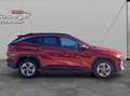 Hyundai TUCSON Tucson 1,6 T-GDI HEV 2WD Jubile Aut. Rot - thumbnail 4