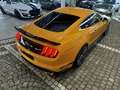 Ford Mustang Mach1 RECARO PEFORMANCE |Frontkamera+PDC Orange - thumbnail 22