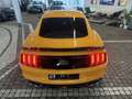 Ford Mustang Mach1 RECARO PEFORMANCE |Frontkamera+PDC Orange - thumbnail 9