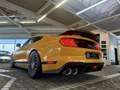 Ford Mustang Mach1 RECARO PEFORMANCE |Frontkamera+PDC Orange - thumbnail 6