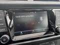 Skoda Fabia Clever Best of 1.0 TSI/DSG/ACC/LED/PANO Schwarz - thumbnail 16
