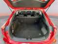 Kia XCeed 1.6 PHEV eTech Aut. Rojo - thumbnail 10