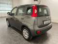 Fiat Panda 1.2 EASY 69CV-EURO6-UNIPRO Grigio - thumbnail 4