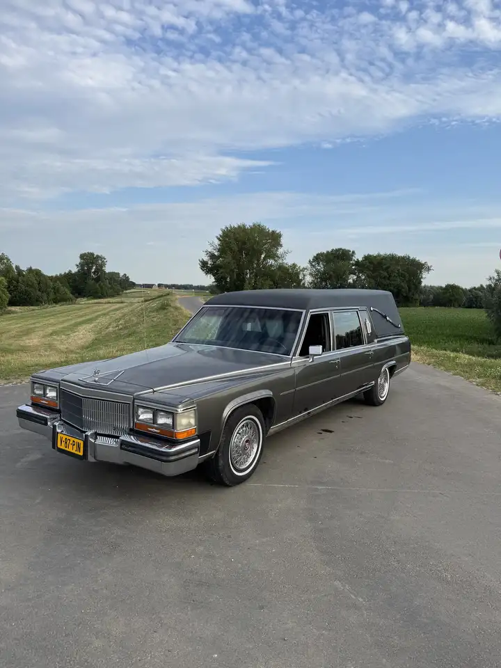 Cadillac Brougham Hearse, foto 2